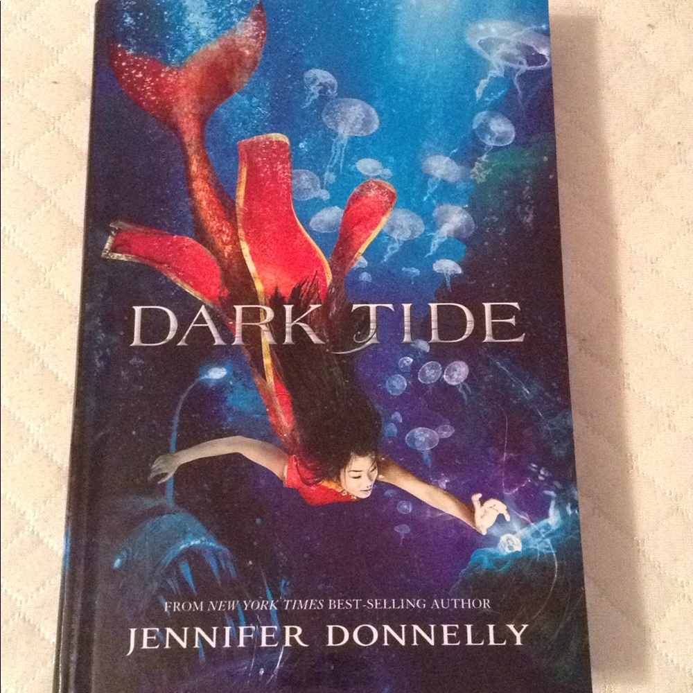 Dark tide by Jennifer Donnelly
